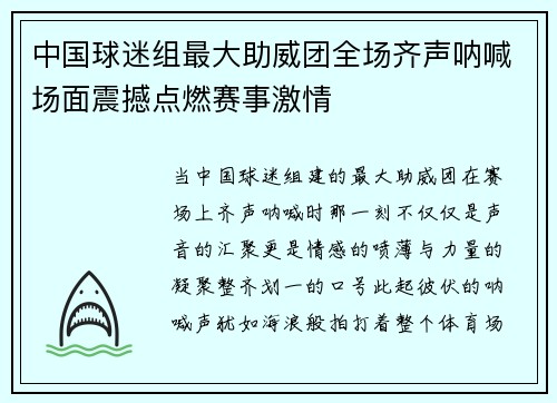 中国球迷组最大助威团全场齐声呐喊场面震撼点燃赛事激情