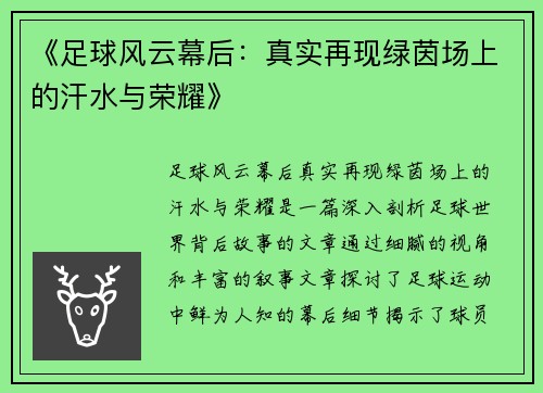 《足球风云幕后：真实再现绿茵场上的汗水与荣耀》