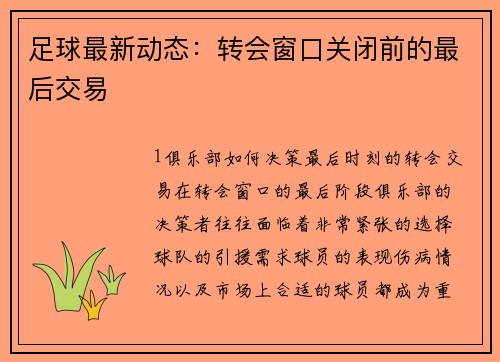 足球最新动态：转会窗口关闭前的最后交易